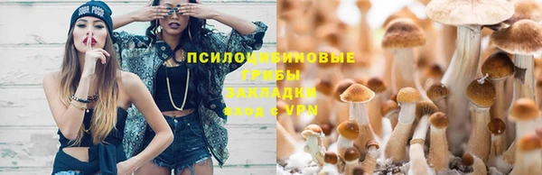 метадон Надым