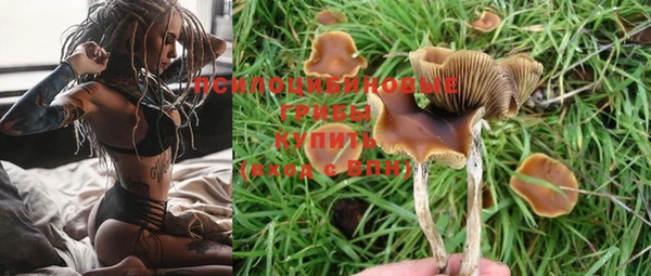 МДПВ Абдулино