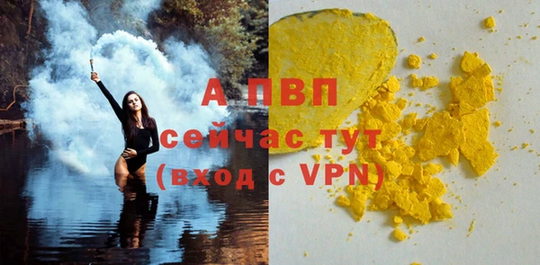 стаф Абаза