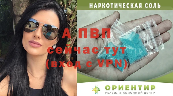 стаф Абаза