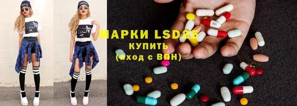 стаф Абаза