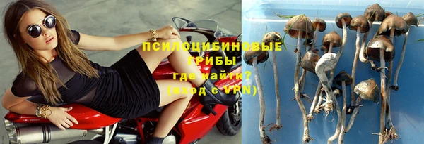 мет Алексин