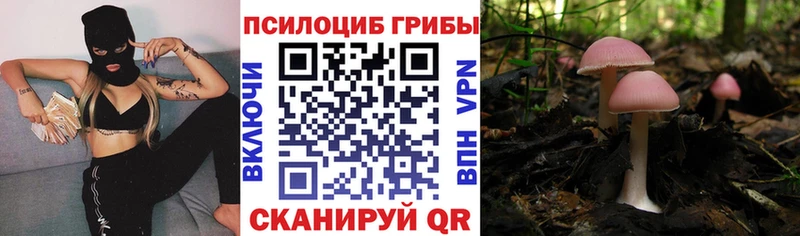 мега рабочий сайт  Кораблино  Псилоцибиновые грибы MAGIC MUSHROOMS 